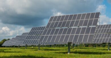 OZE w 2024 roku według raportu URE